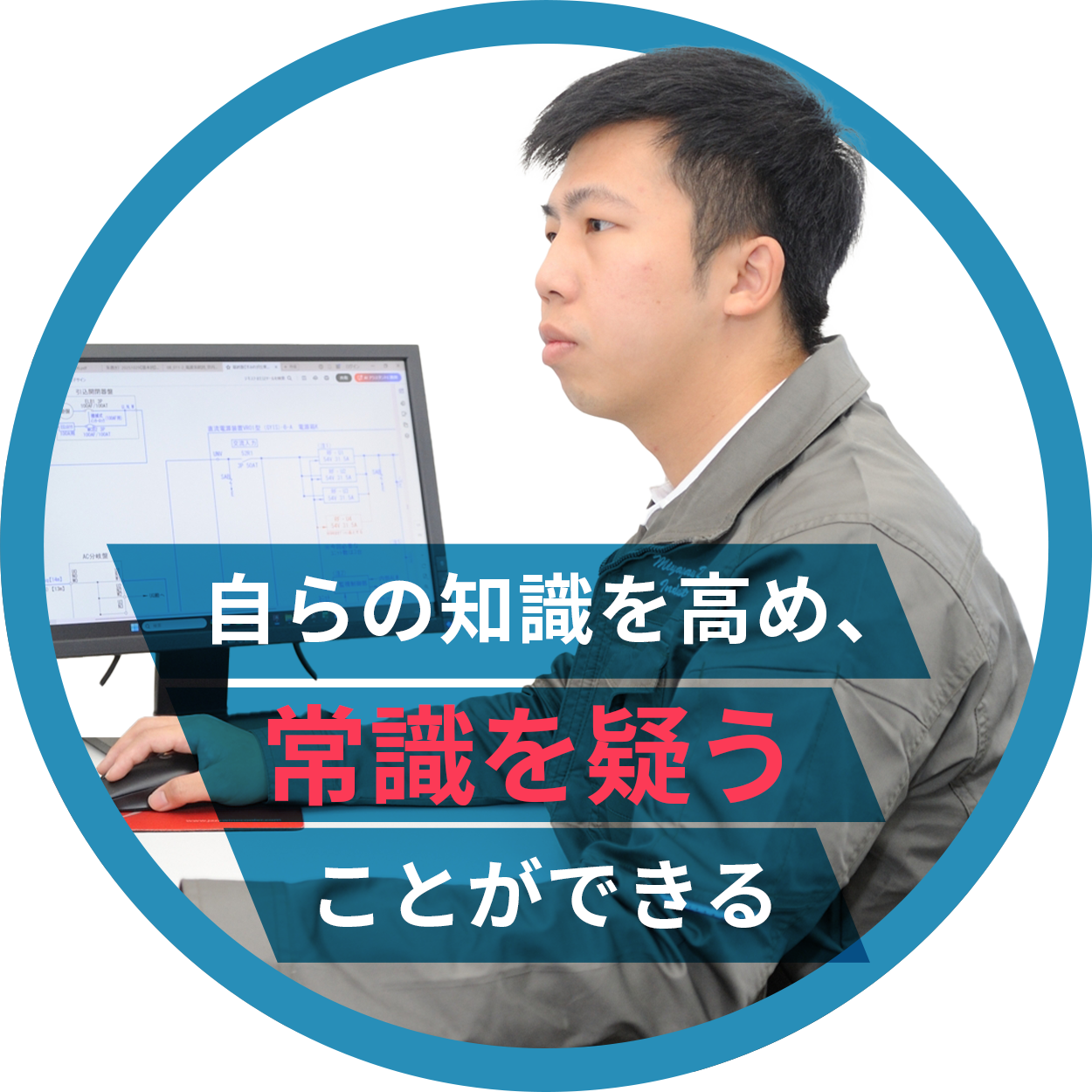 先輩社員の声